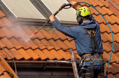Démoussage et hydrofuge de toiture à Puchay